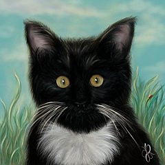 Gatti (65)
